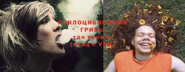 spice Абинск