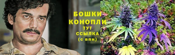 Альфа ПВП Абаза
