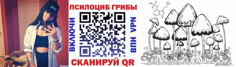 наркошоп  Ильский  Псилоцибиновые грибы Psilocybine cubensis 